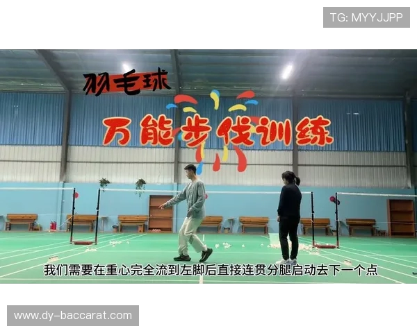 全能羽毛球游戏技巧大全 轻松掌握各项技能提升胜率