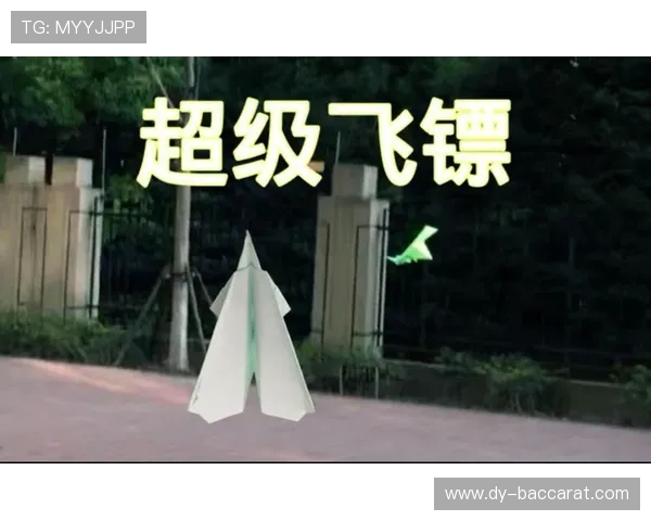 如何查看我在纸飞机游戏中飞行的飞机位置和状态